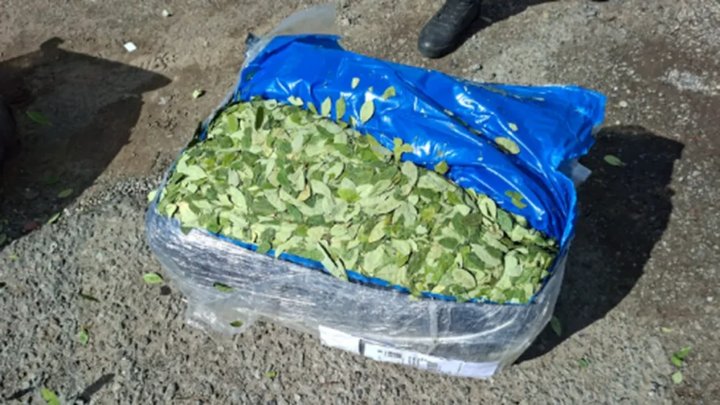 Secuestro de hojas de coca en Zárate: el cargamento salió de Salta