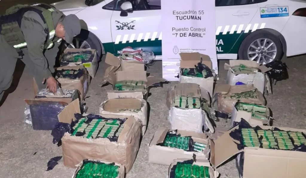 Secuestro de hojas de coca por más de 8 millones en un control de ruta