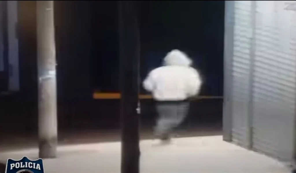 Arrebato en la vieja terminal: las cámaras del 911 delataron al ladrón