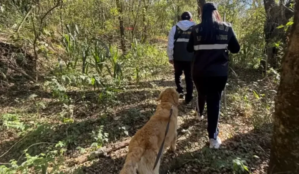 Búsqueda de Agustín Chiri: canes de Catamarca rastrillaron San Bernardo sin resultados
