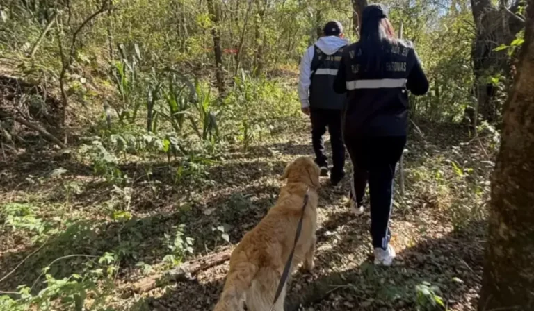 Búsqueda de Agustín Chiri: canes de Catamarca rastrillaron San Bernardo sin resultados