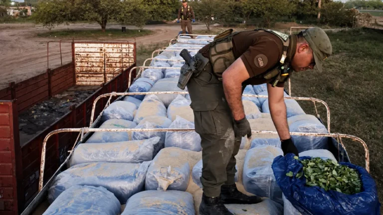 Decomiso de hojas de coca en Santiago del Estero y Tucumán