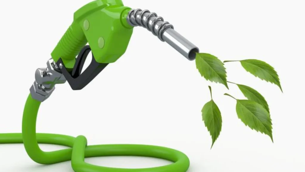 El Senado impulsa un nuevo régimen de biocombustibles y Jujuy sigue de cerca el aumento del bioetanol