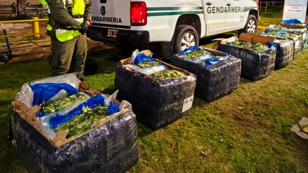 Hallan casi 360 kilos de hojas de coca en encomiendas que salieron de Salta