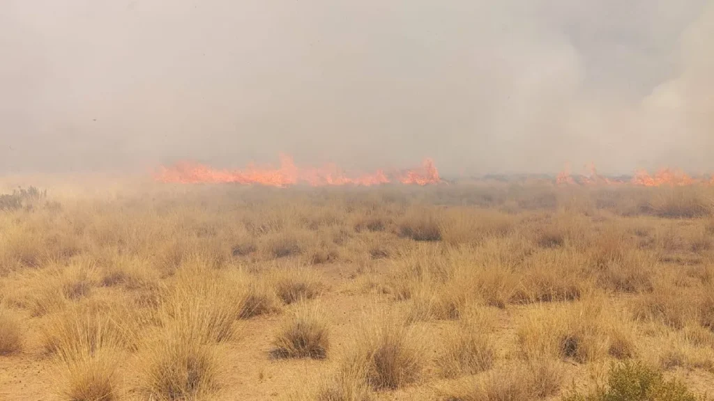 Incendio en Abra Pampa: el viento complica el trabajo de los bomberos cerca del cerro El Huancar