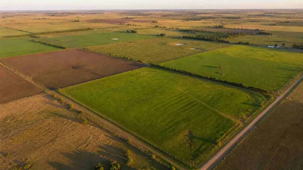 La Corte Suprema mantiene vigente la derogación de los límites a la compra de tierras por extranjeros