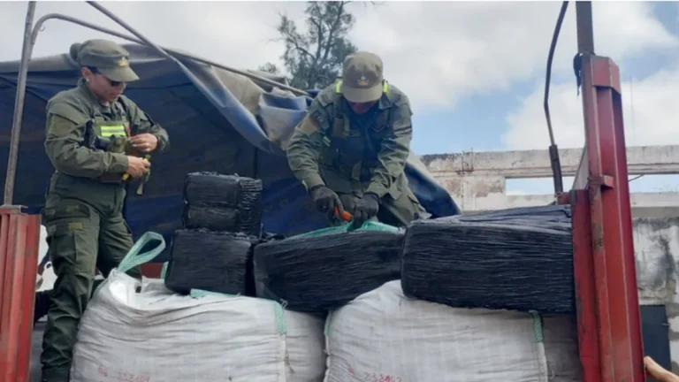 Un camión con hojas de coca que partió de La Quiaca fue interceptado en Santiago del Estero