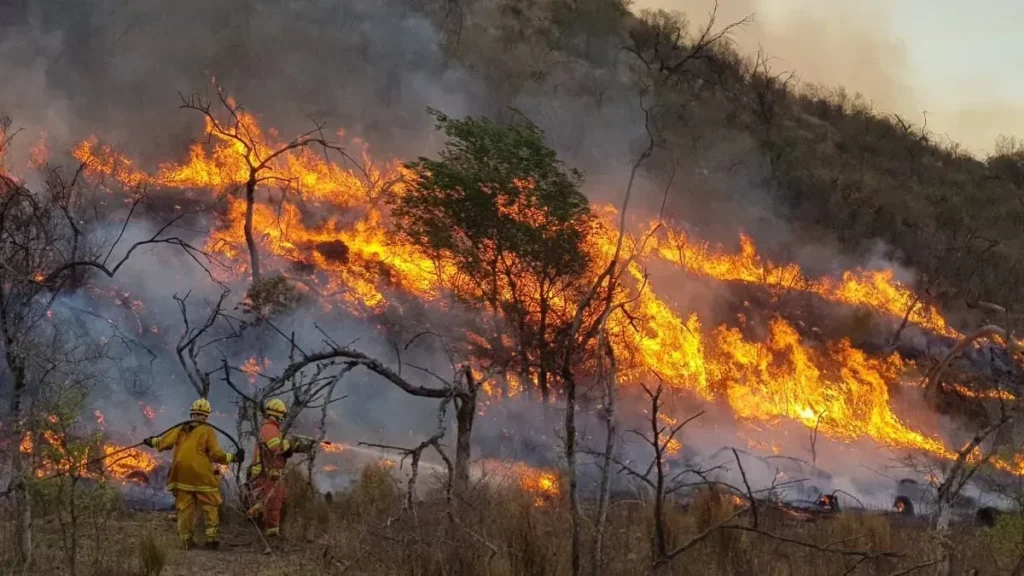 Alerta por peligro de incendios en Jujuy: el riesgo será alto y extremo todo el fin de semana