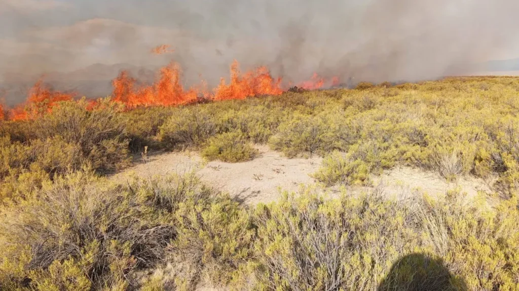 Controlaron el incendio en Laguna de Pozuelos tras más de siete horas de trabajo