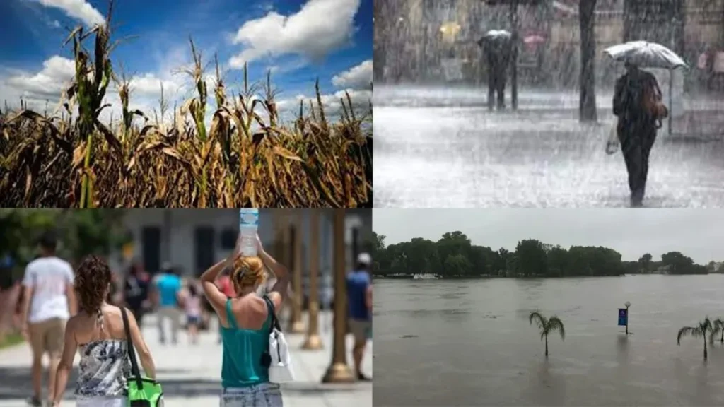 El Niño podría alcanzar una intensidad histórica: la probabilidad subió al 83%