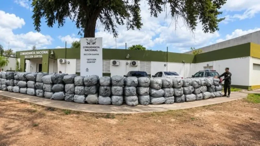 Incautación de hojas de coca en Santiago del Estero: más de 1.600 kilos