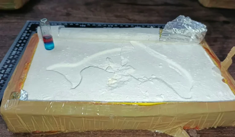 Transportaba más de 65 kilos de cocaína desde Jujuy y fue detenido en Salta